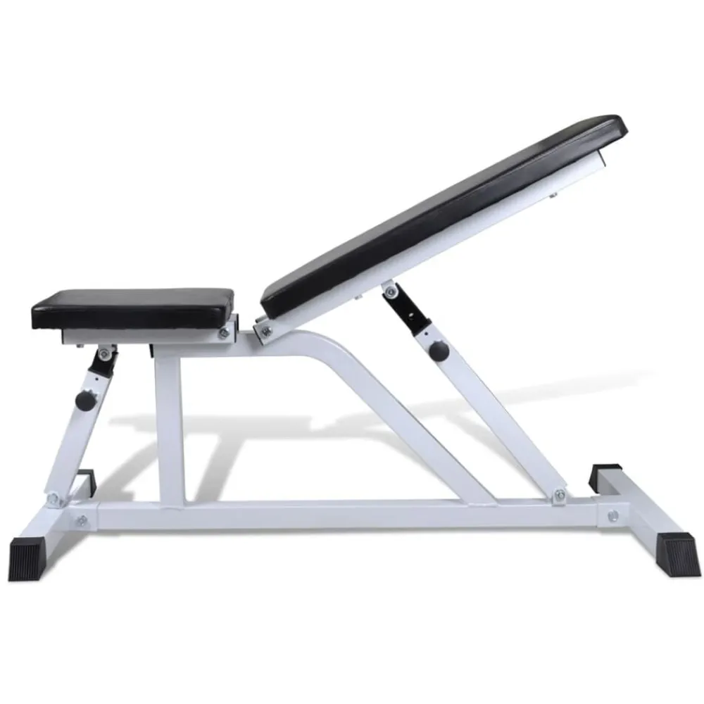 vidaXL Banc de musculation pour muscles appareil de fitness