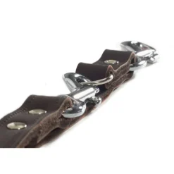 Articles Pour Animaux De Compagnie-vidaXL Beeztees Laisse de dressage Cuir 200x1,2 cm 736401 Marron