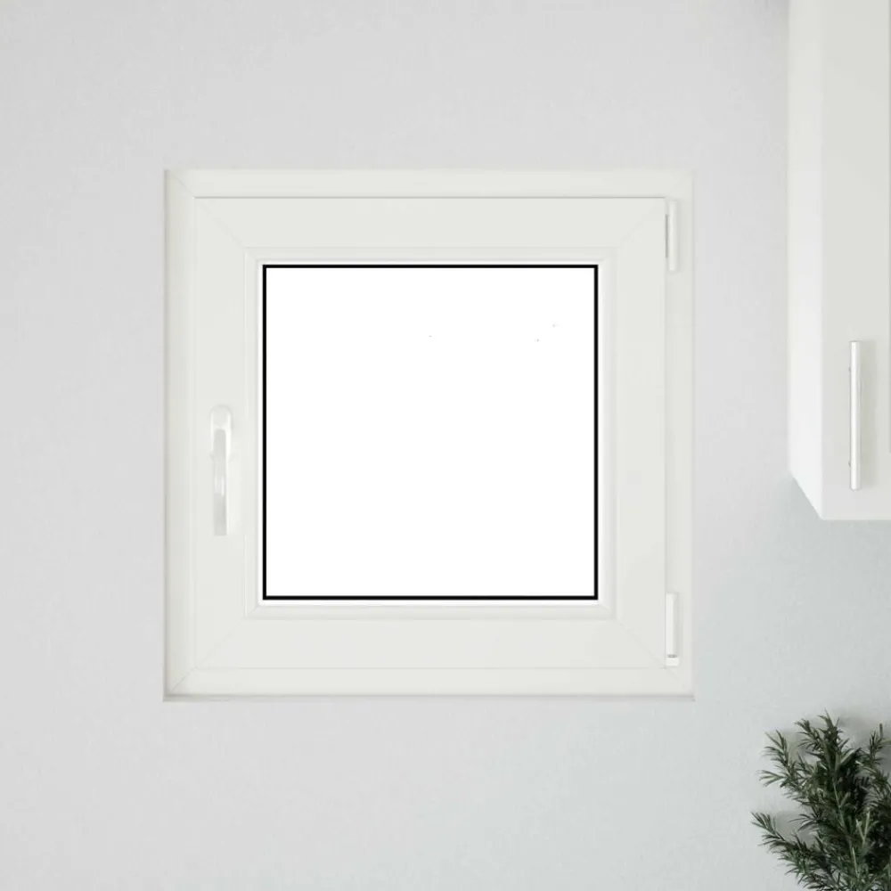 vidaXL Fenêtre de sous-sol RISOR 60 x 60 cm PVC et verre