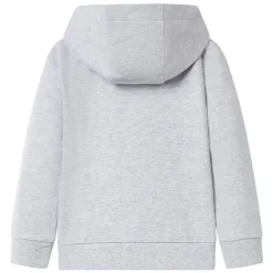 Vêtements & Accessoires-vidaXL Sweatshirt à capuche avec fermeture éclair pour enfants 92 Gris