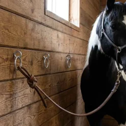 Loisirs De Plein Air-vidaXL Anneaux d'attache pour chevaux avec vis à œil 3 pcs argenté acier