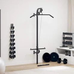 vidaXL Appareil de musculation mural avec 2 poulies