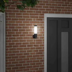 Luminaires-vidaXL Applique Murale Extérieure 12 x 8,5 x 29 cm Noir
