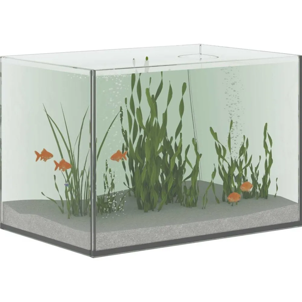Articles Pour Animaux De Compagnie-vidaXL Aquarium avec stockage Transparent 30 x 20 x 20 cm Verre