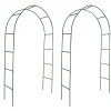 vidaXL Arche de jardin 2 pcs pour plantes grimpantes