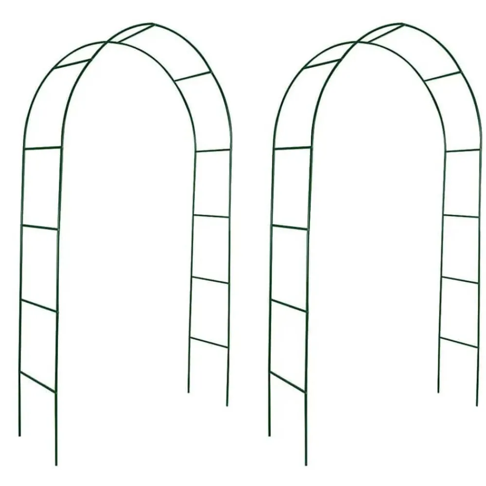 vidaXL Arche de jardin 2 pcs pour plantes grimpantes