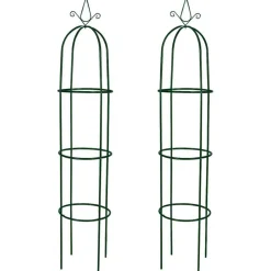 Pelouses & Jardins-vidaXL Arche de jardin en forme de tour 2 pcs