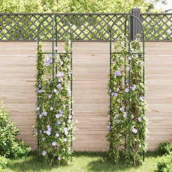 Pelouses & Jardins-vidaXL Arche de jardin en forme de tour 2 pcs