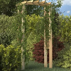 vidaXL Arche en treillis 110x60x210 cm Bois de pin massif imprégné