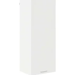 vidaXL Armoire suspendue 40 x 31 x 100 cm Bois d'ingénierie