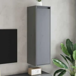 Étagères-vidaXL Armoires murales 2 pcs 30x30x100 cm Bois de pin massif Gris