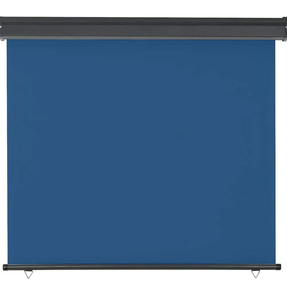vidaXL Auvent latéral de balcon 125x250 cm
