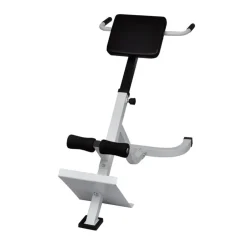 vidaXL Banc de musculation du dos