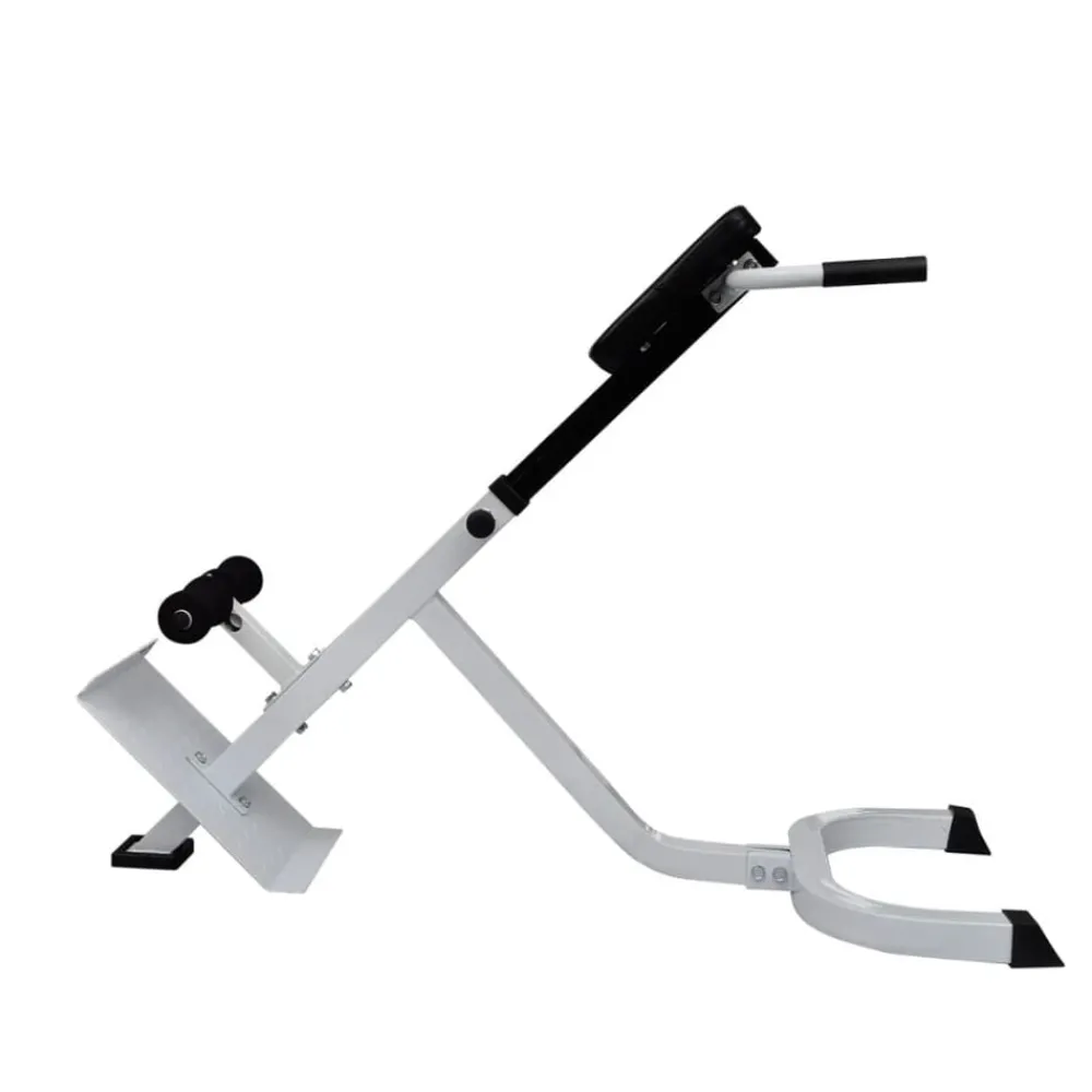 vidaXL Banc de musculation du dos