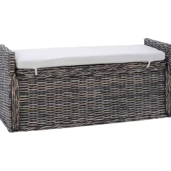 vidaXL Banc de rangement 110 x 40 x 50 cm Rotin