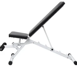 Entraînement & Fitness-vidaXL Banc d'entraînement avec jeu d'haltères 30,5 kg
