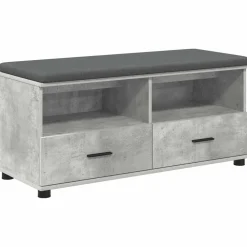 Bancs-vidaXL Banc d'entrée avec coussin 100 x 38 x 46 cm Gris béton