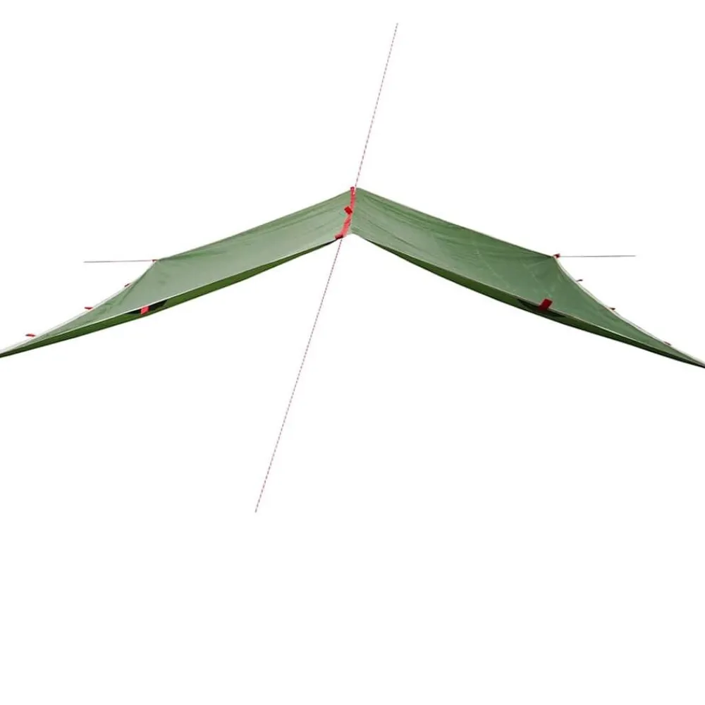 Loisirs De Plein Air-vidaXL Bâche de camping 300x294 cm imperméable Vert