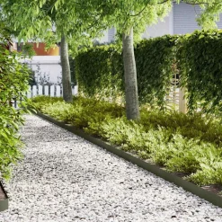 Clôtures & Barrières-vidaXL Bordure de Pelouse 10 pcs 100 x 0,05 x 15 cm Vert olive