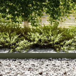 Clôtures & Barrières-vidaXL Bordure de Pelouse 10 pcs 100 x 0,05 x 15 cm Vert olive