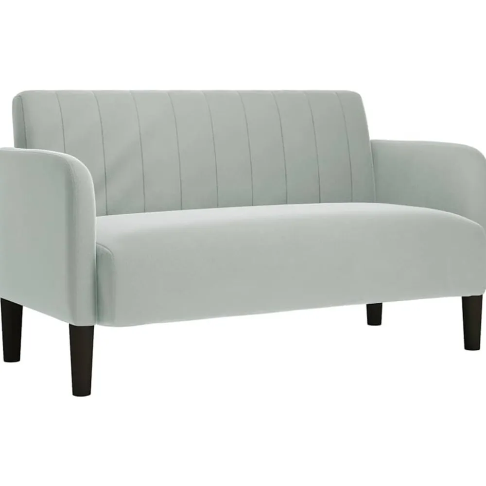 Accessoires Pour Canapés|Canapés-vidaXL Canapé causeuse 109 cm velours Gris clair