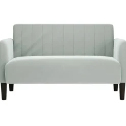 Accessoires Pour Canapés|Canapés-vidaXL Canapé causeuse 109 cm velours Gris clair