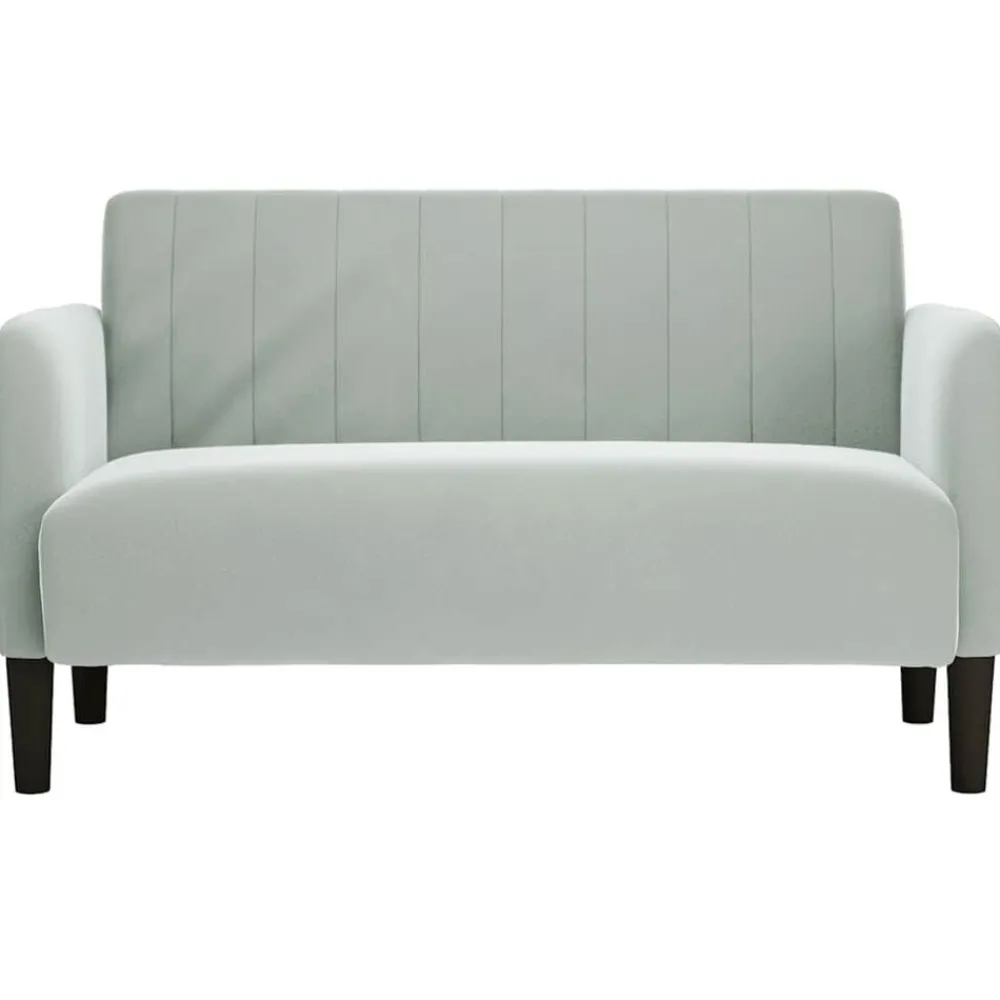 Accessoires Pour Canapés|Canapés-vidaXL Canapé causeuse 109 cm velours Gris clair