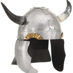 vidaXL Casque de viking pour GN Argenté Acier
