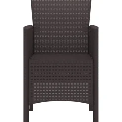 vidaXL Chaise de jardin 2 pcs Marron 53 x 49 x 85 cm Polypropylène
