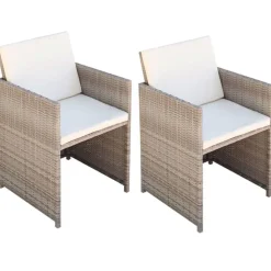 Mobilier De Jardin-vidaXL Chaises de jardin lot de 2 avec coussins Résine tressée Beige