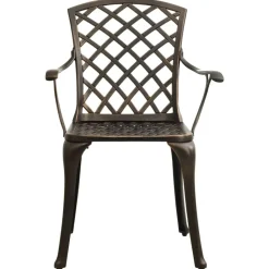 Mobilier De Jardin-vidaXL Chaises de jardin lot de 2 Aluminium coulé Bronze