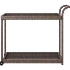 Chariots & Îlots-vidaXL Chariot de bar 100x45x83 cm Résine tressée Marron