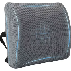 vidaXL Coussin dorsal Mousse à mémoire de forme 36 x 30 x 12 cm