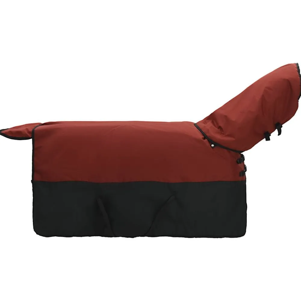 Loisirs De Plein Air-vidaXL Couverture Équine Vert foncé et noir 75 cm Polyester Rouge Bordeaux et noir