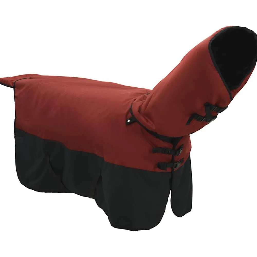 Loisirs De Plein Air-vidaXL Couverture Équine Vert foncé et noir 75 cm Polyester Rouge Bordeaux et noir