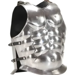 vidaXL Cuirasse d'armure corporelle de soldat romain GN Argenté Acier