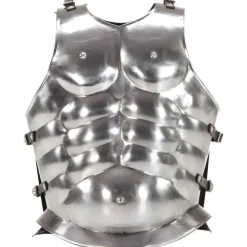 vidaXL Cuirasse d'armure corporelle de soldat romain GN Argenté Acier
