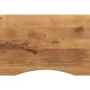 Accessoires Pour Tables-vidaXL Dessus de bureau avec courbe 100x50x2,5 cm manguier massif brut