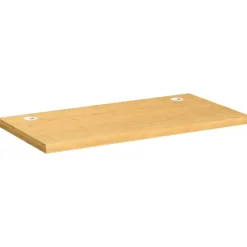 Accessoires Pour Meubles De Bureau-vidaXL Dessus de bureau 100x50x4 cm bambou