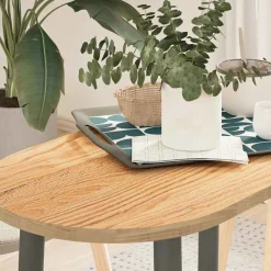 Accessoires Pour Tables-vidaXL Dessus de table 80x40x2 cm bois de chêne massif ovale Naturel