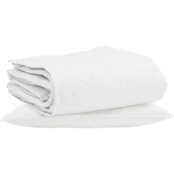 Linge-vidaXL Duvet d'hiver avec oreiller 2 pcs Blanc Plume de canard