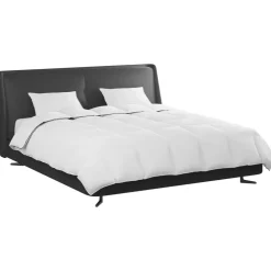 Linge-vidaXL Duvet d'hiver avec oreiller 3 pcs Blanc Plume de canard