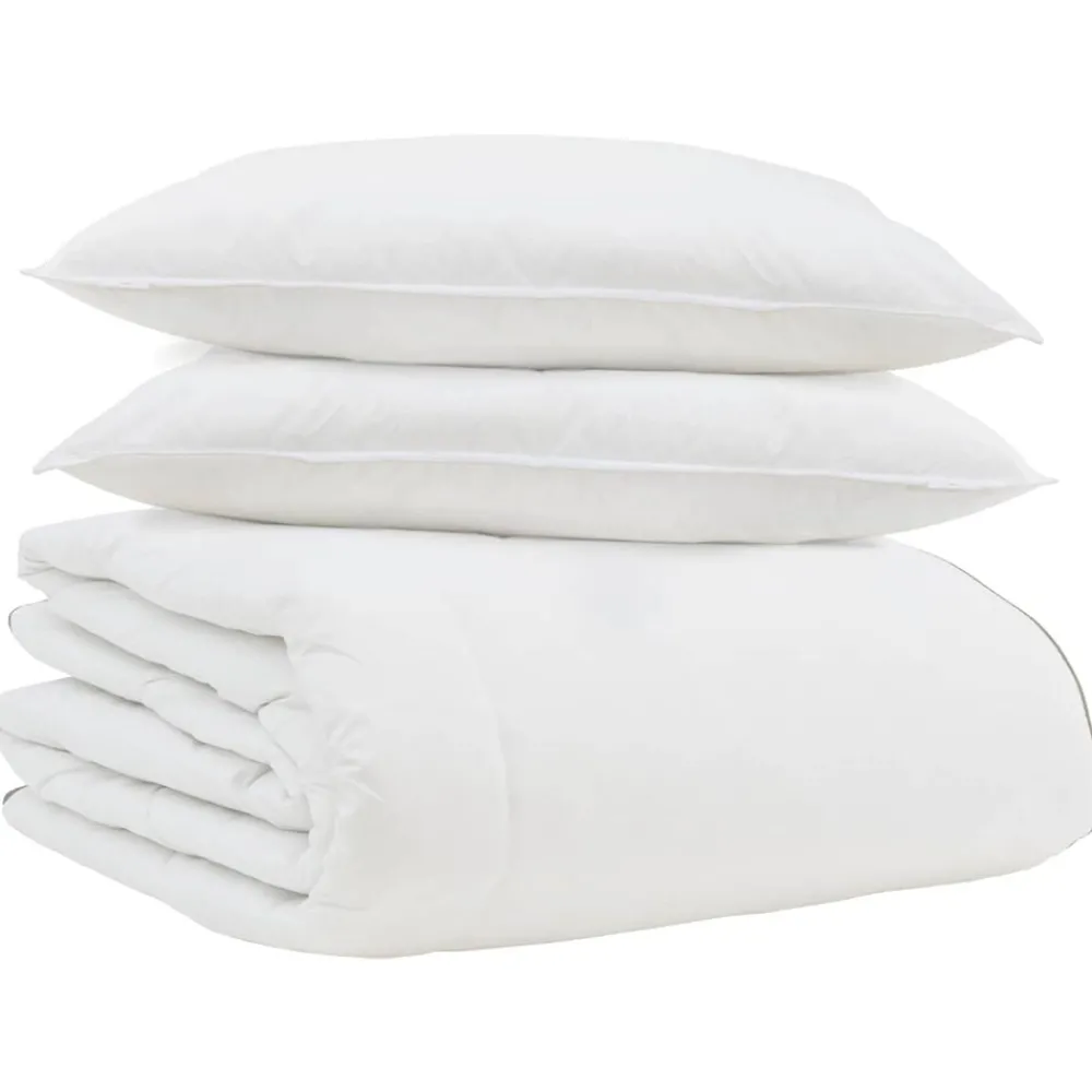 Linge-vidaXL Duvet d'hiver avec oreiller 3 pcs Blanc Plume de canard