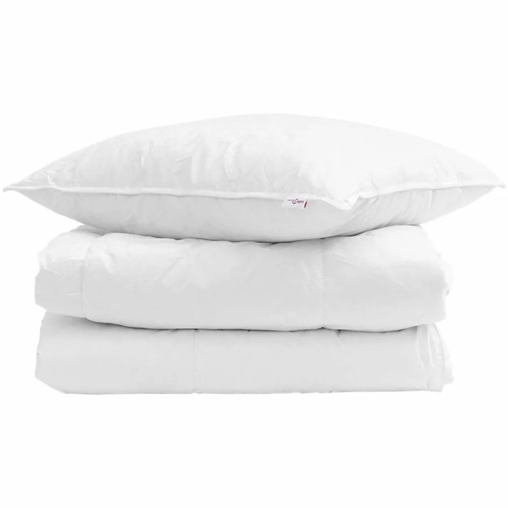 vidaXL Duvet d'hiver avec oreiller 2 pcs Blanc Plume de canard