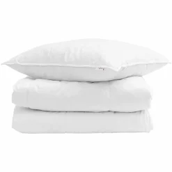 Linge-vidaXL Duvet d'hiver avec oreiller 2 pcs Blanc Plume de canard