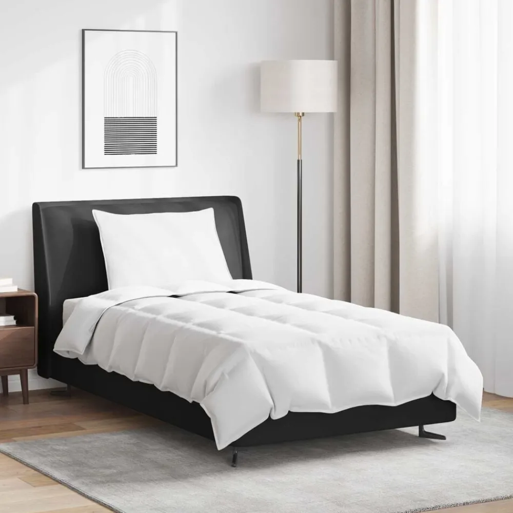 Linge-vidaXL Duvet d'été simple avec oreiller 2 pcs Blanc Plume de canard