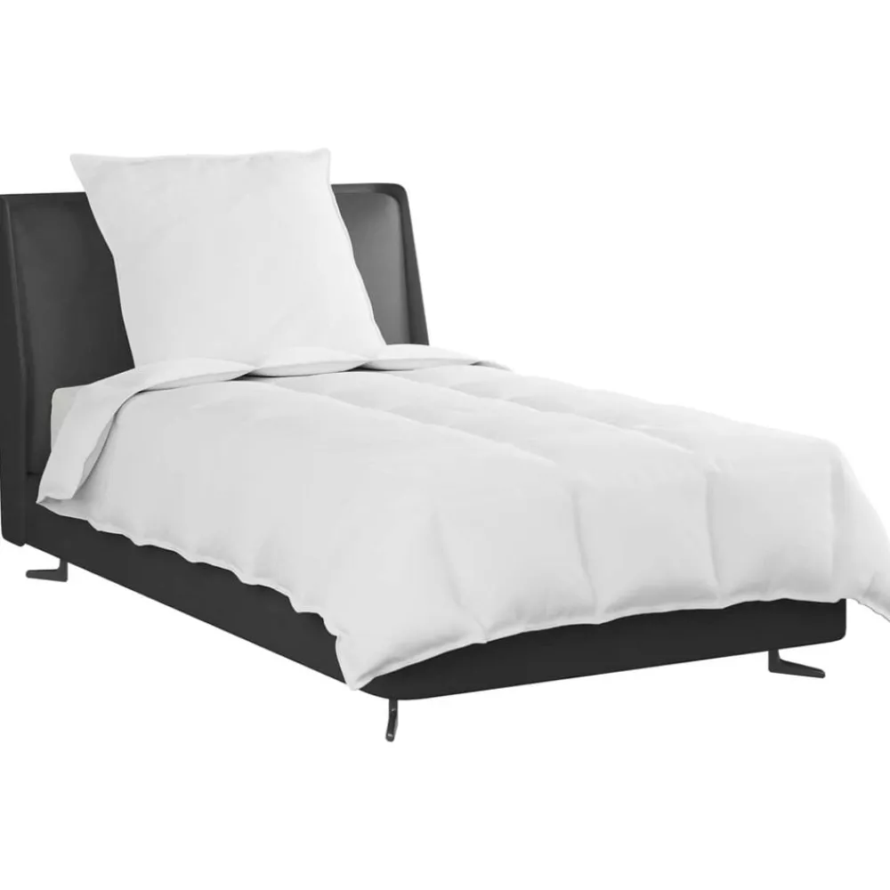 Linge-vidaXL Duvet 2-en-1 avec oreiller 2 pcs Blanc Plume de canard