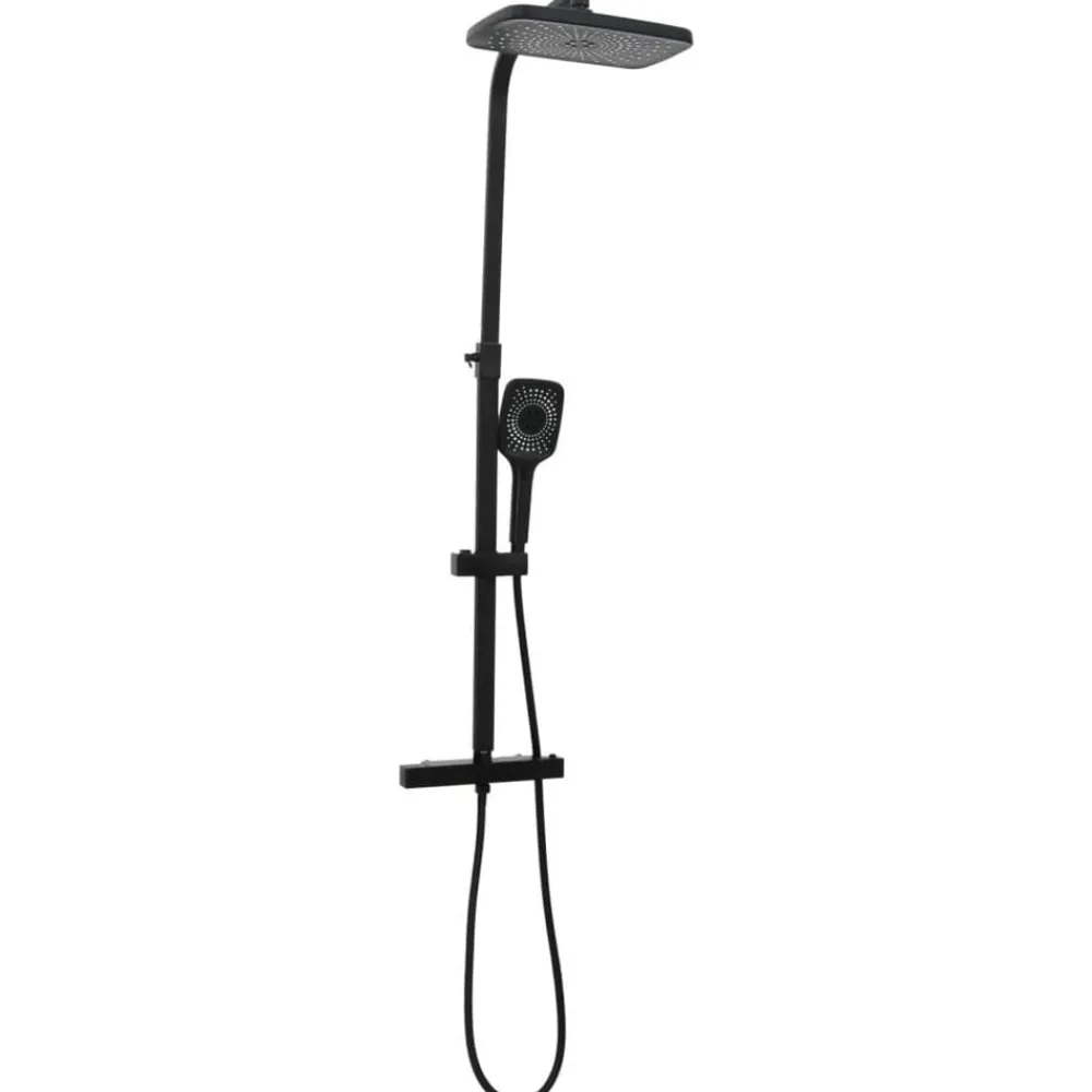 vidaXL Ensemble de douche à deux tête et mitigeur et tuyau laiton noir