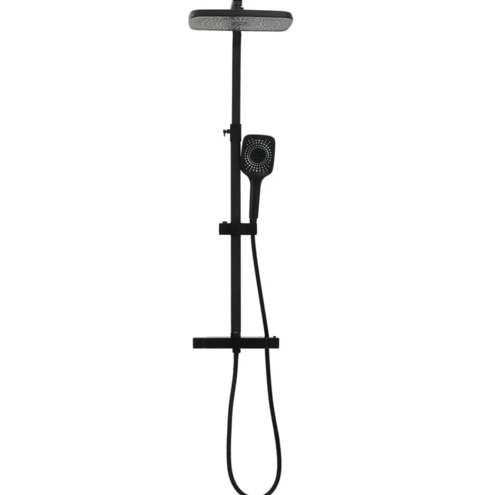 vidaXL Ensemble de douche à deux tête et mitigeur et tuyau laiton noir