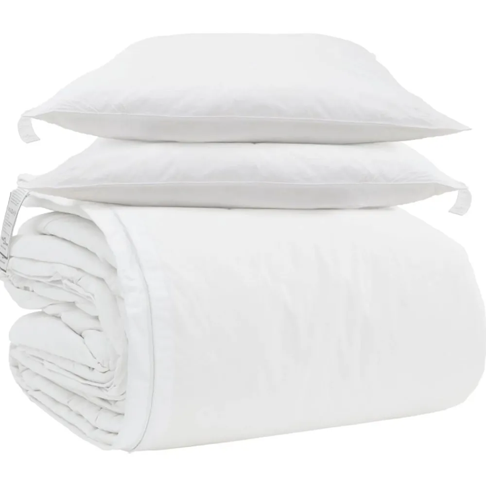 Linge-vidaXL Ensemble de Duvet avec oreiller 3 pcs Blanc Plume de canard